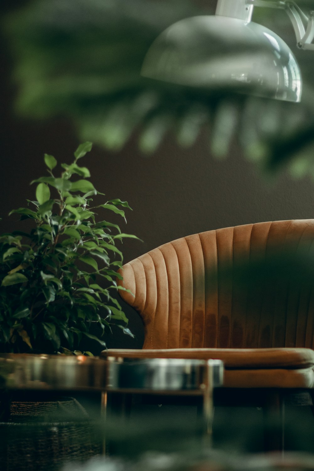 brown leather lounge chair beside green plant