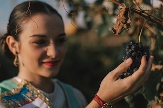 Winemaker carefully inspecting grape clusters during harvest season in Midyat