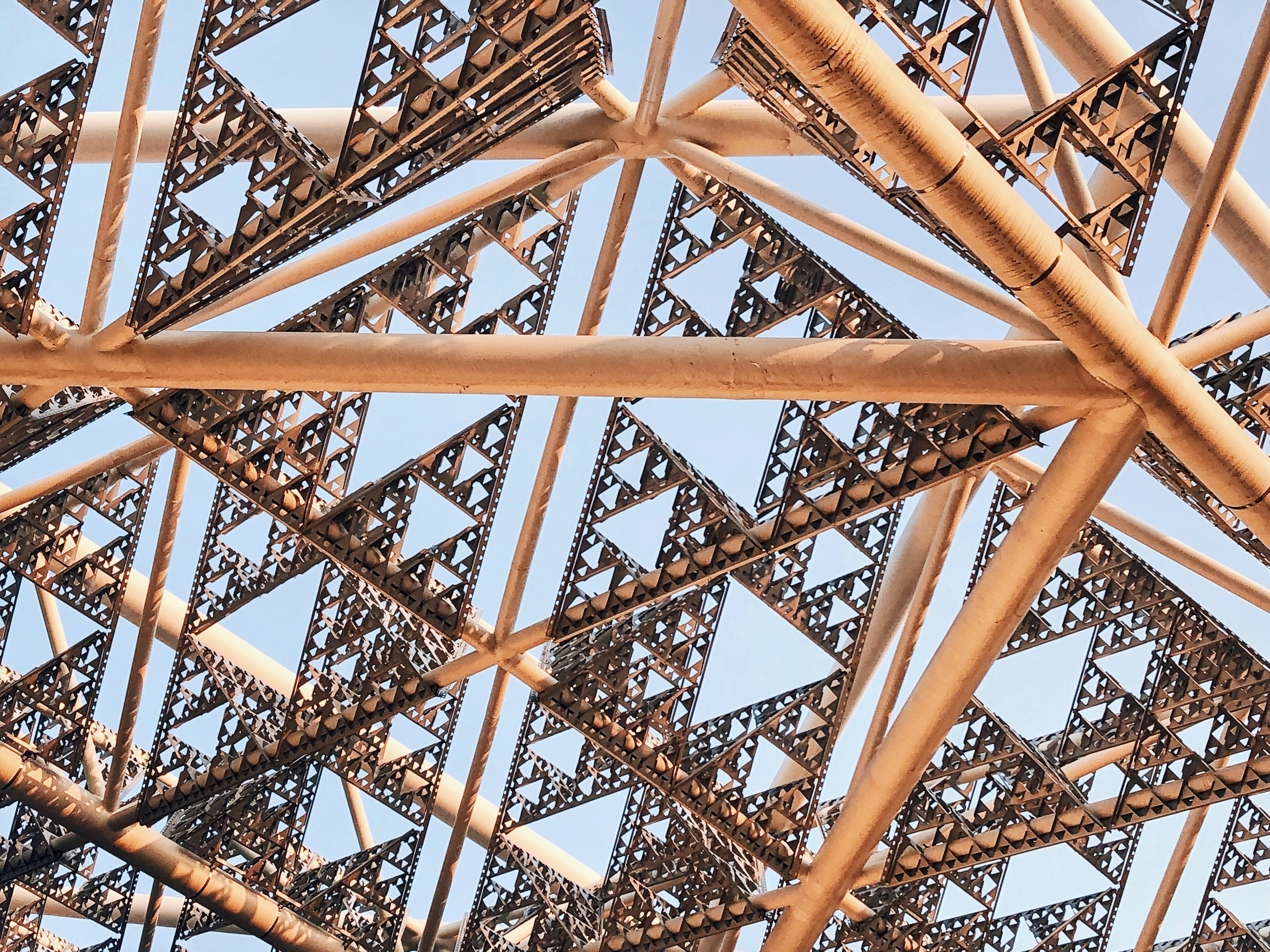 Photo by mingsphotograph