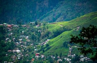 houses on green inclined land