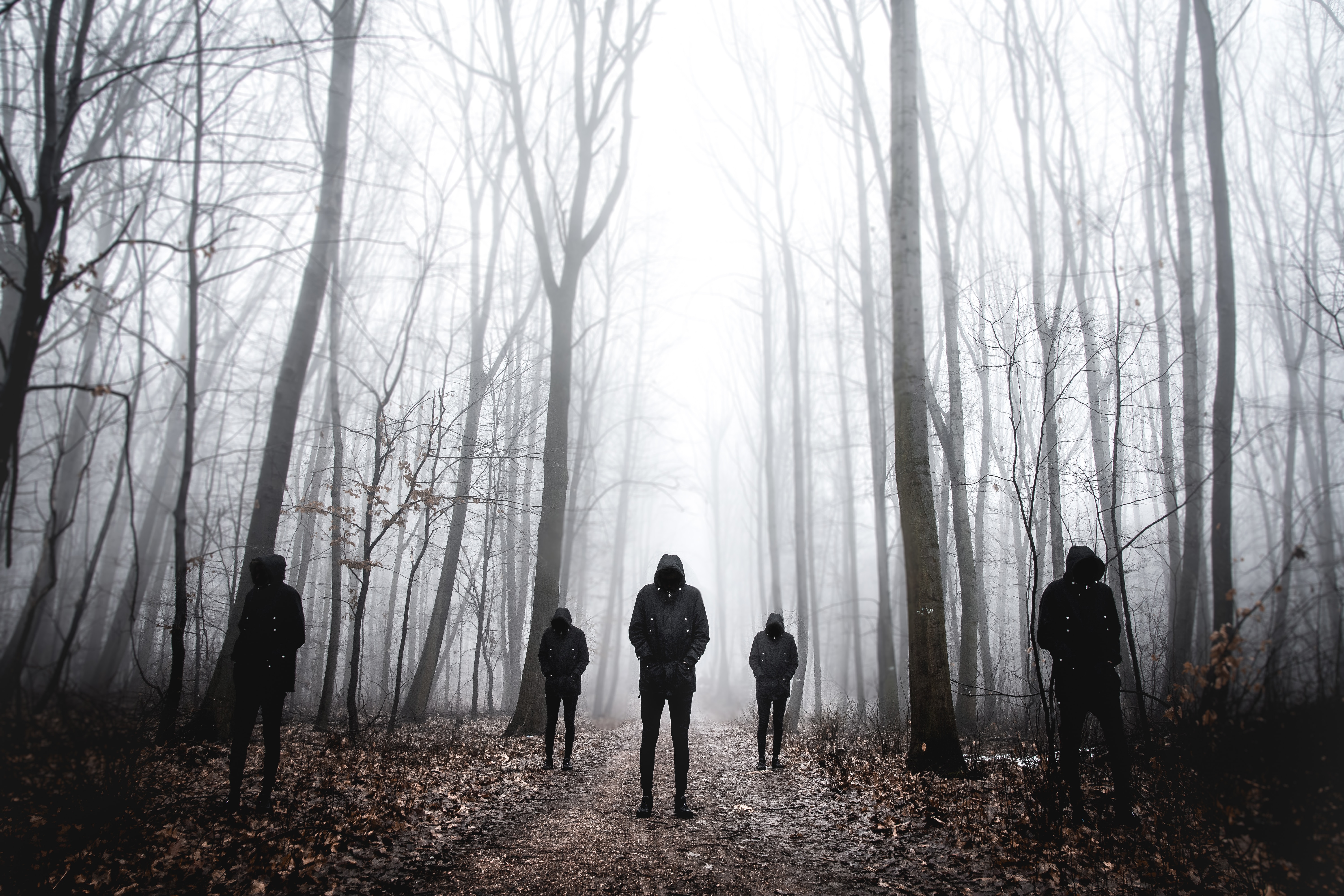 five men wearing black hoodie standing on forest