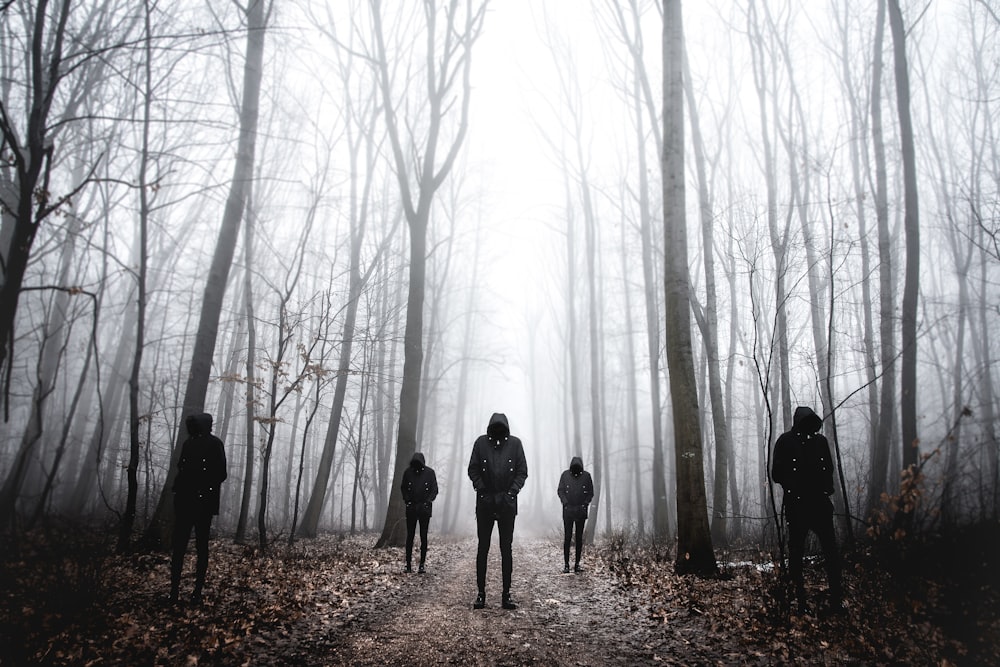 five men wearing black hoodie standing on forest
