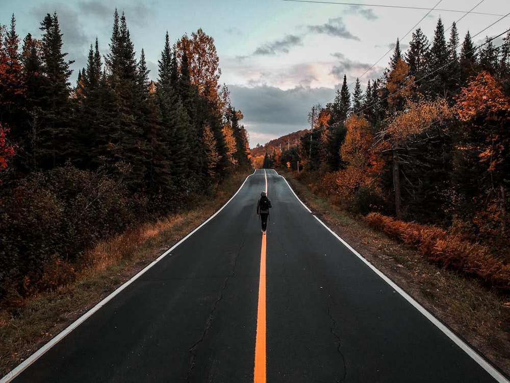 man walking on road between brown trees during daytime