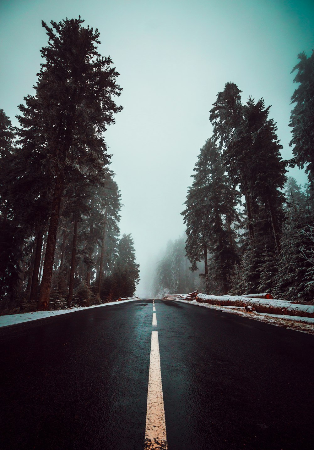 empty roadway