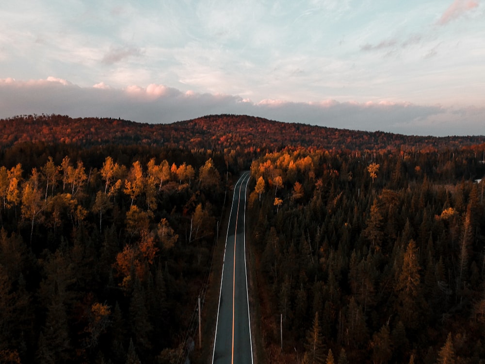 empty roadway