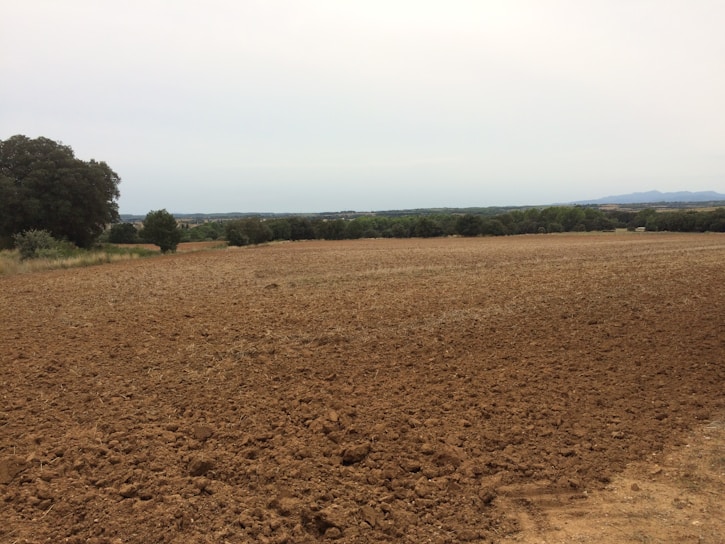 A freshly cleared Texas plot of land with survey markers and open sky.