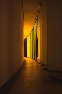 Elegant hallway with custom wall panels and subtle lighting effects