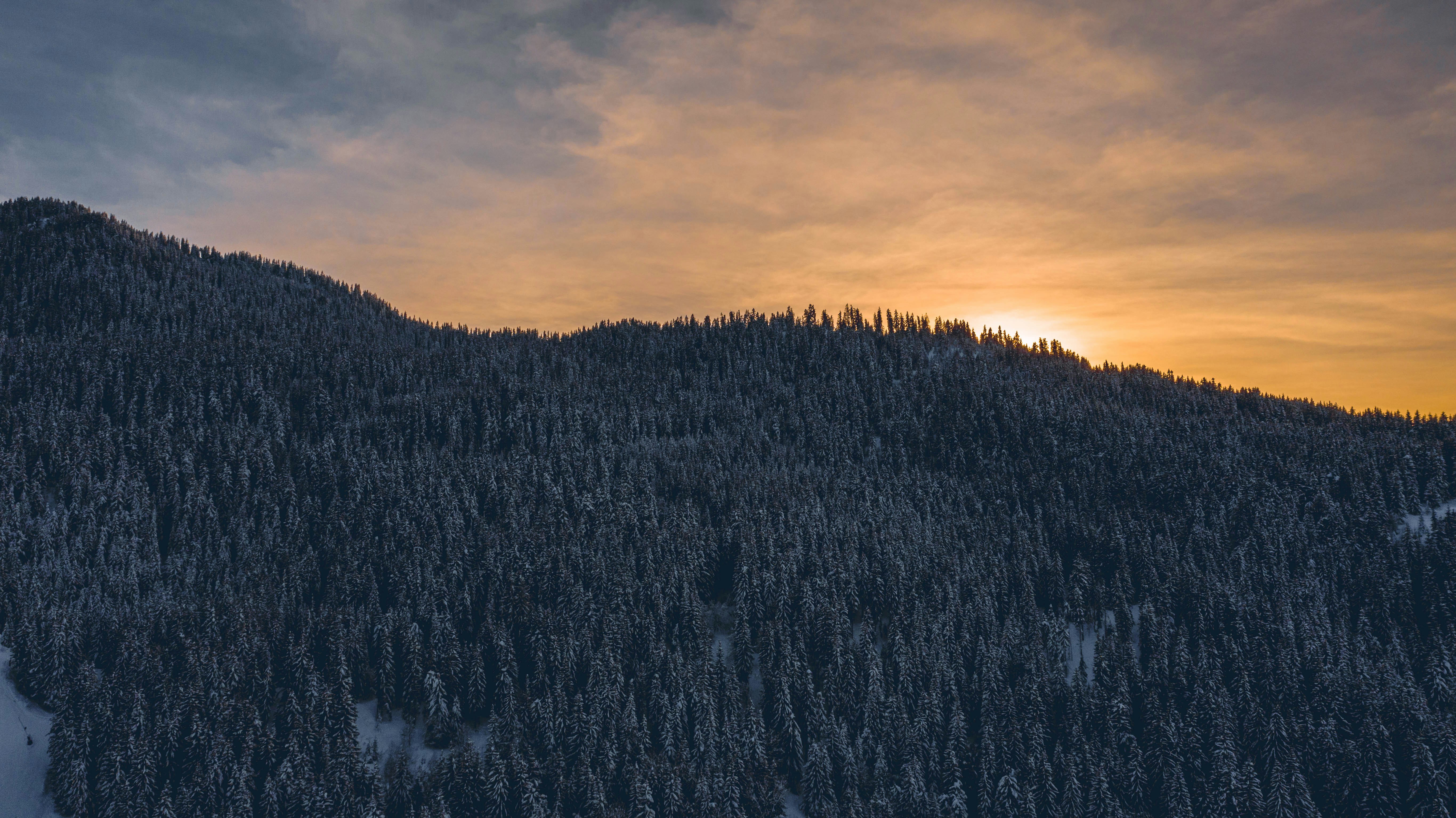 Photo by moorecreative