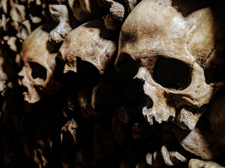 Skulls in the Hollow