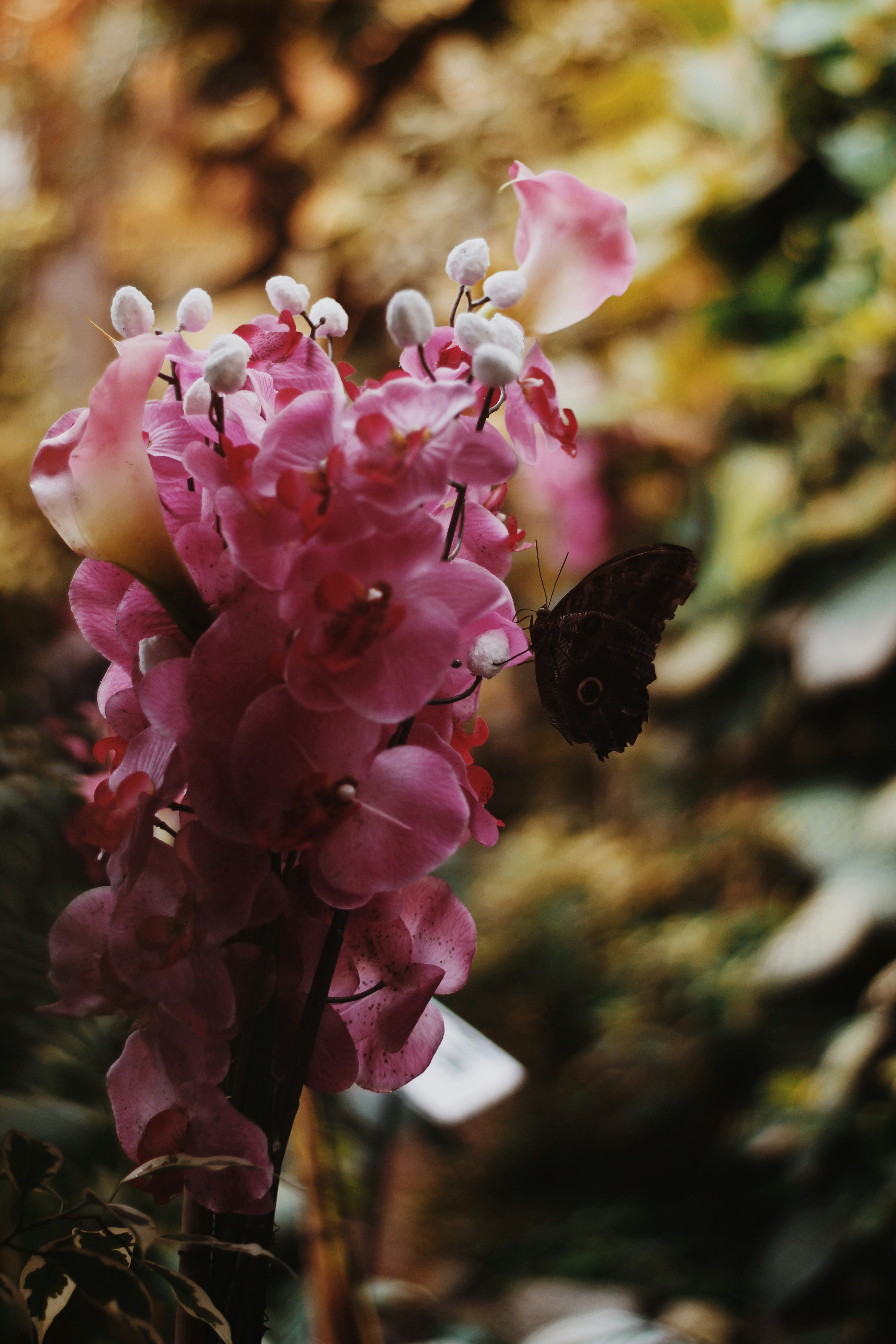 Photo by humayardim