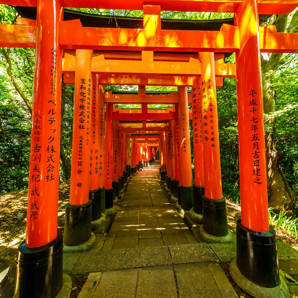 orange and black torii