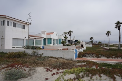 A row of white, modern beach houses with tile roofs situated along a sandy coast. The weather is overcast with a grey sky. In the foreground, there is a mix of coastal plants and sand. Palm trees are scattered along the landscape, and a walkway runs parallel to the houses.