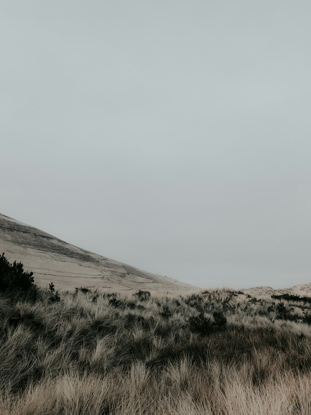 open field near mountain view