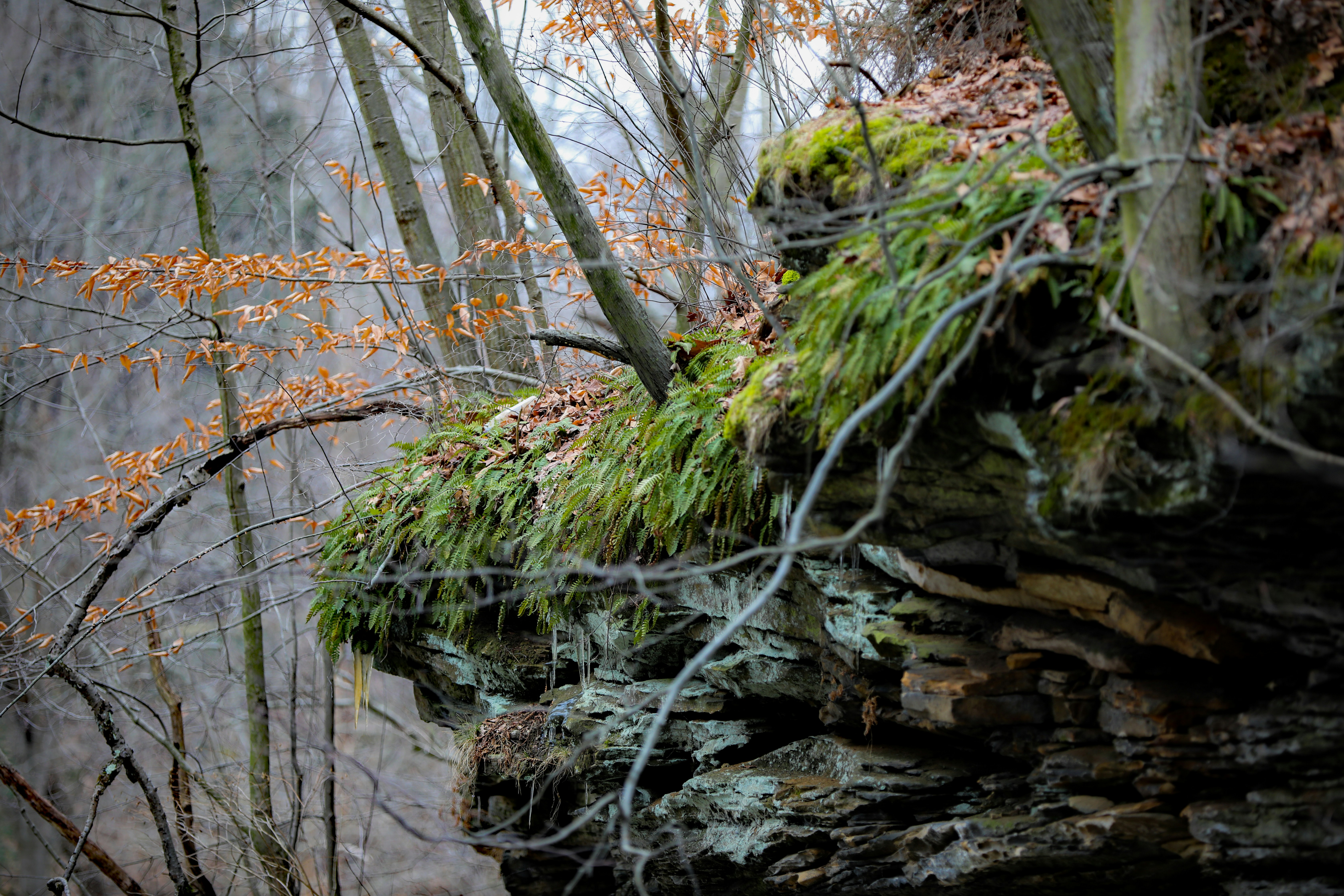 Photo by michaelbweidner