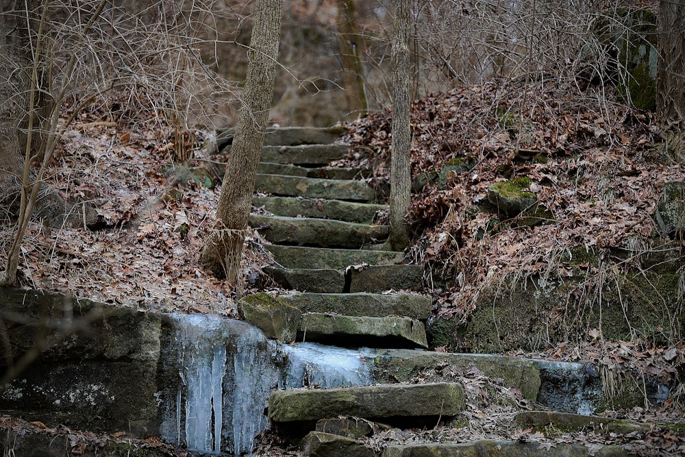 body of water flowing surrounded with rocks and trees