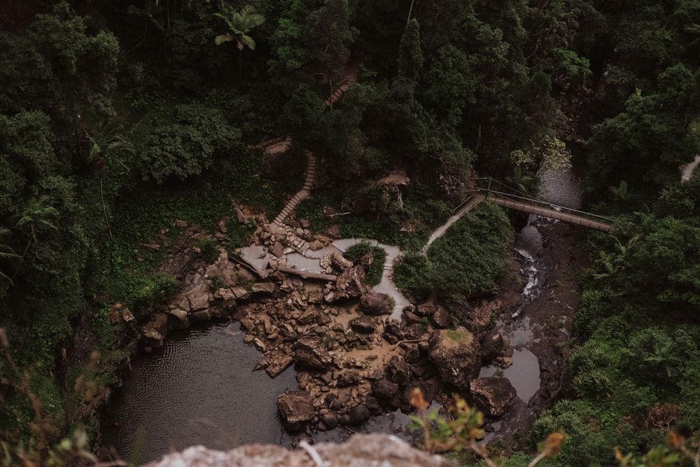 aerial photography of lake