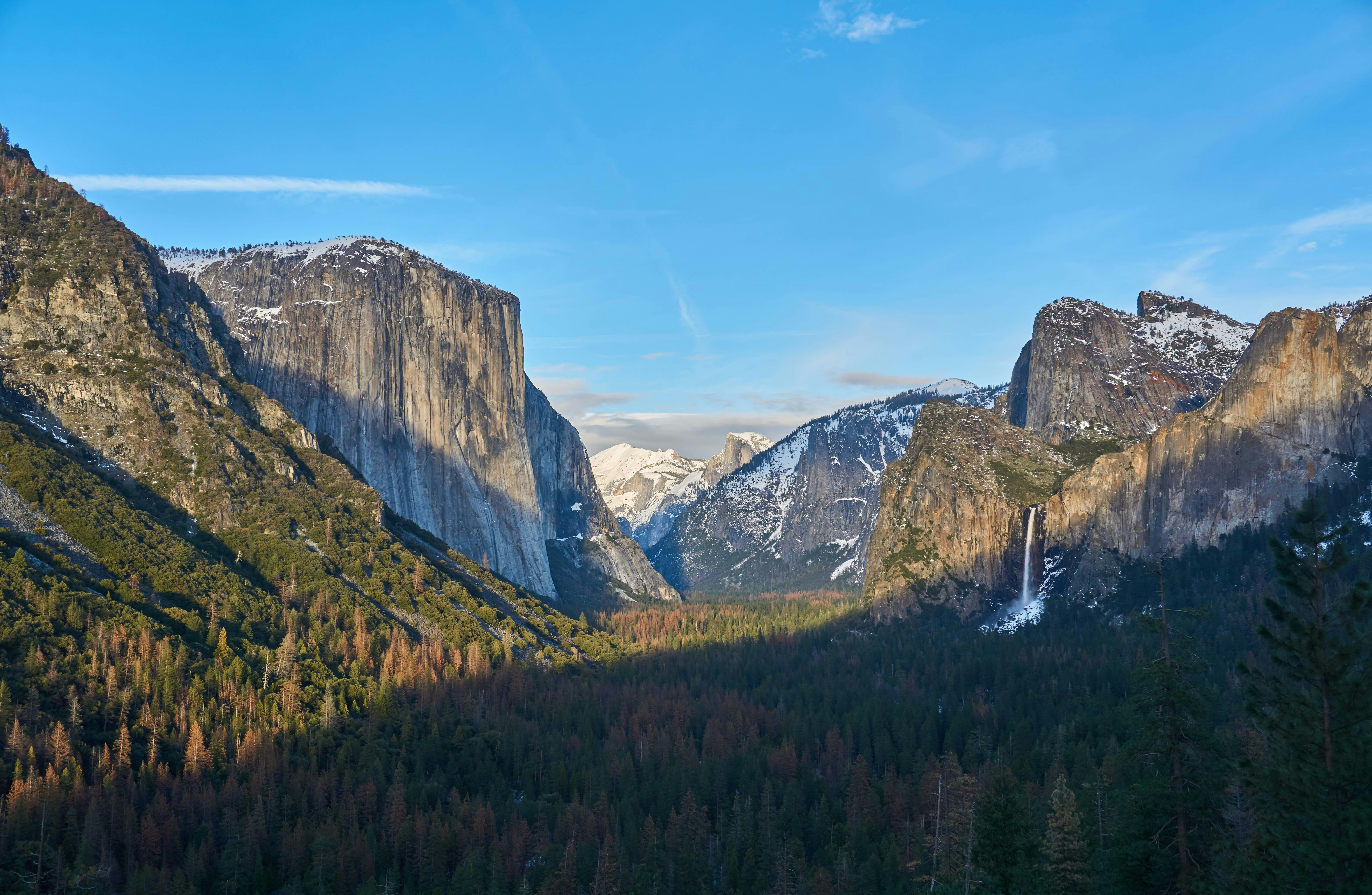 green leaf tree near mountain under blue sky during daytime