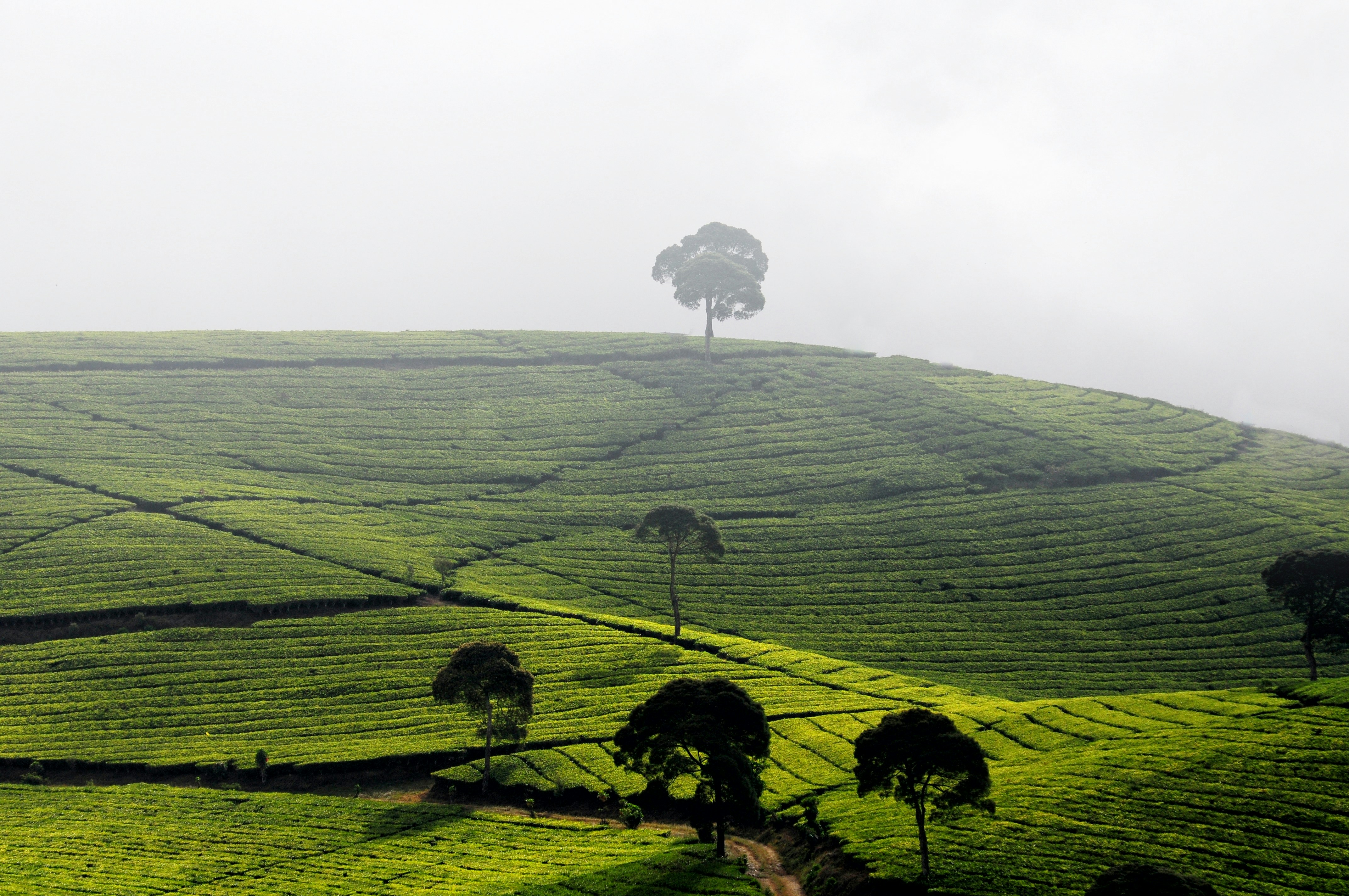 Photo by hariyantoktm