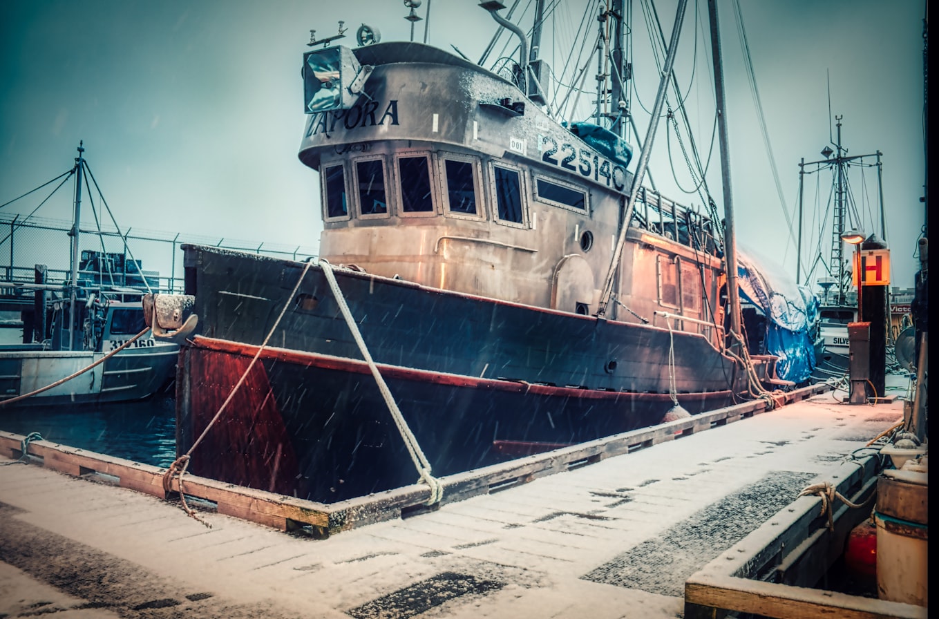 a boat docked in a marina in Victoria