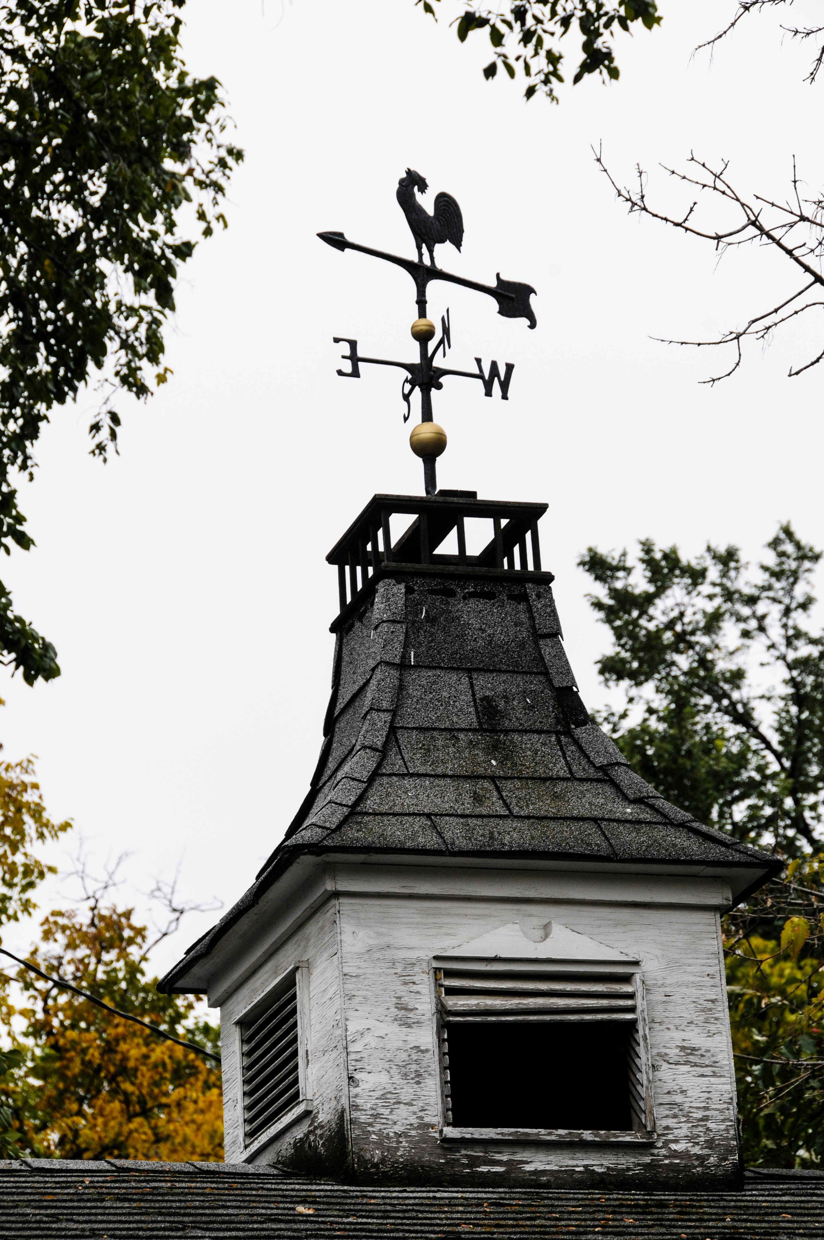 open gray and white exhaust