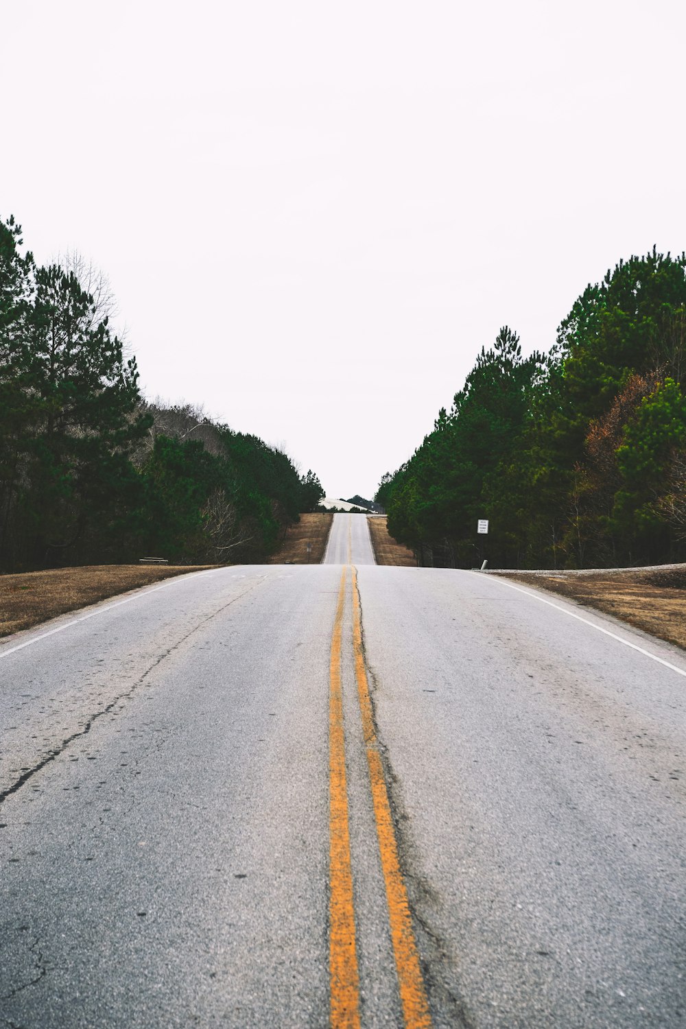 concrete road leading towards trees