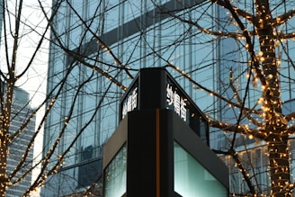 A commercial property adorned with elegant LED holiday lights.