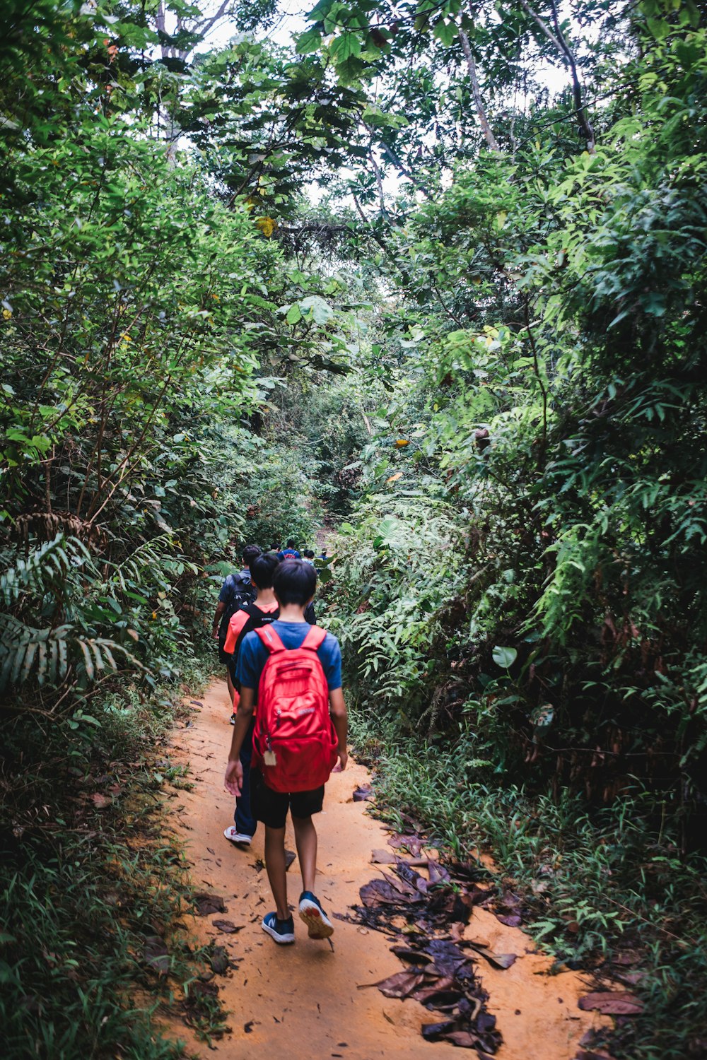 Dos hombres caminando por el sendero de la montaña