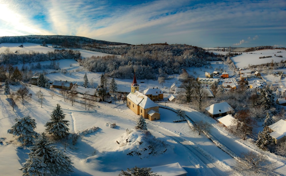 aerial photo of houses and trees