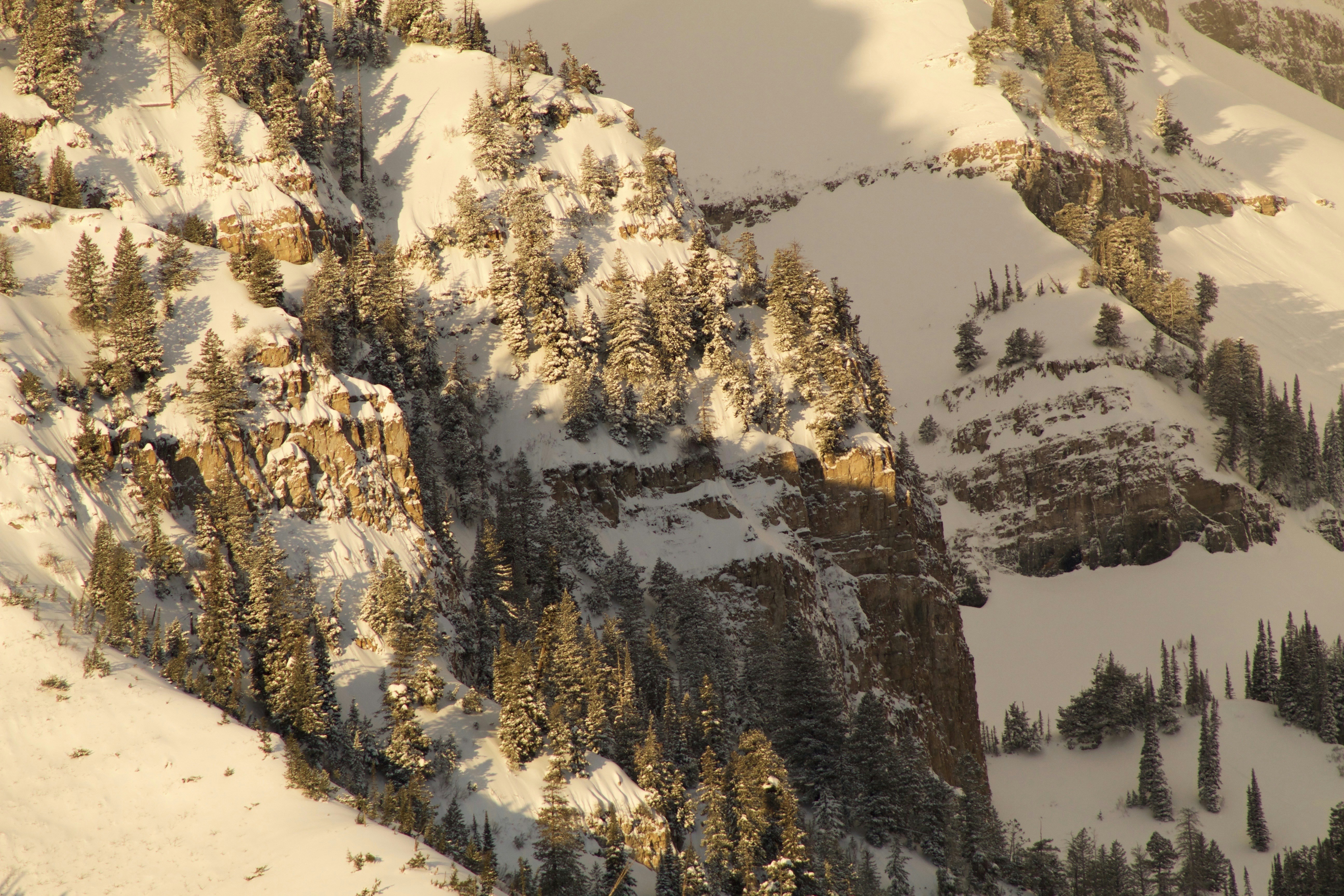 Photo by cy_stillman