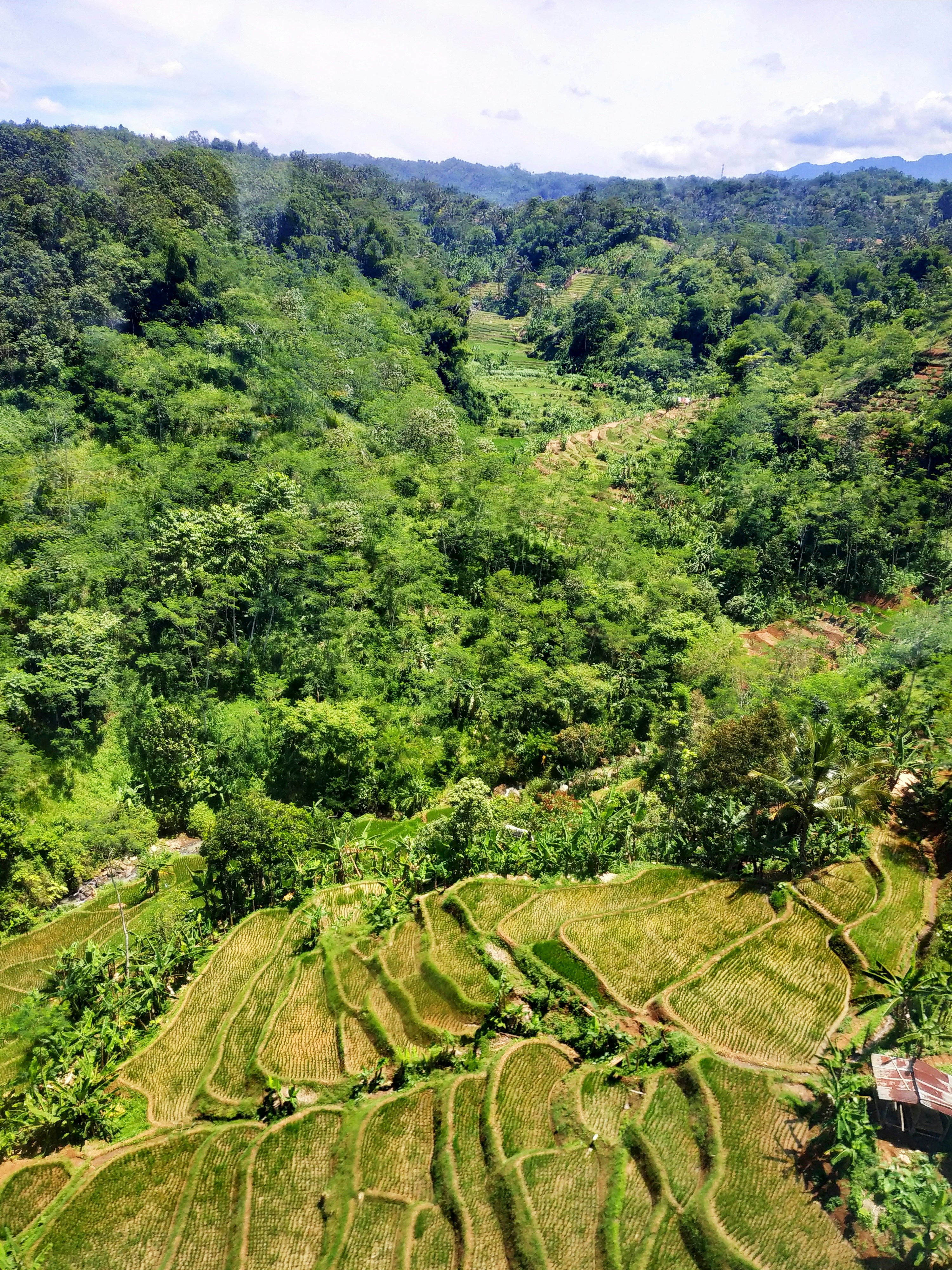 Photo by ahsaniputri