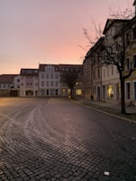 A quiet cobblestone street lined with historic buildings under a clear blue sky.