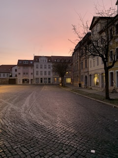A quiet cobblestone street lined with historic buildings under a clear blue sky.