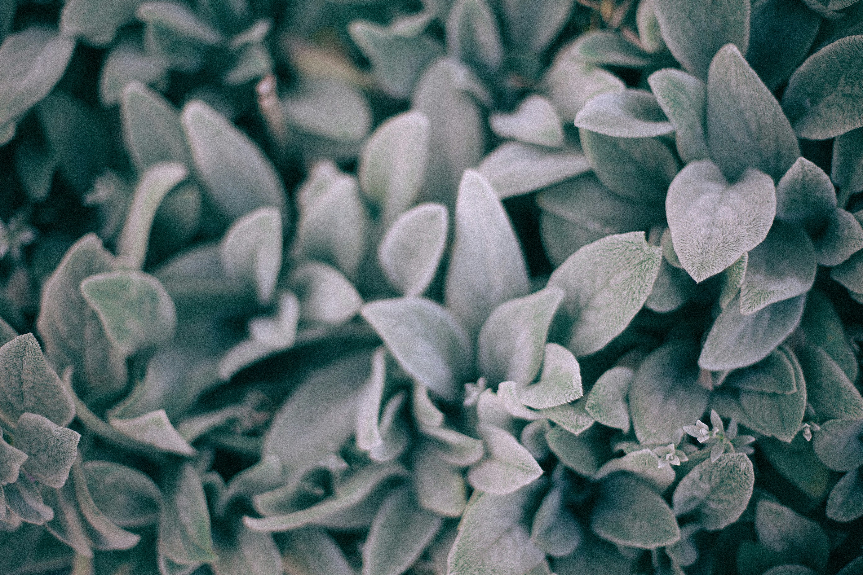 Photo by orlovamaria