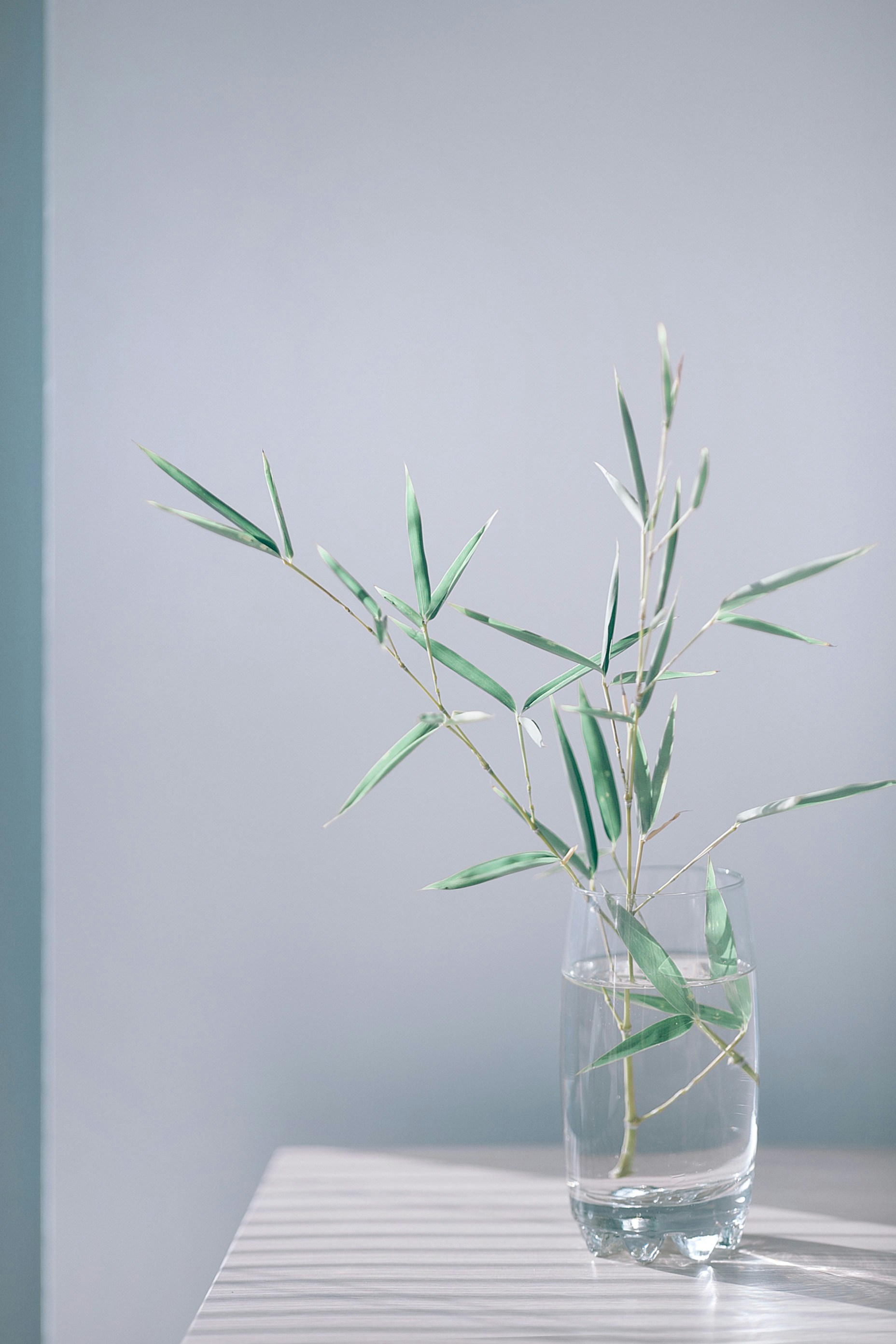 Photo by orlovamaria