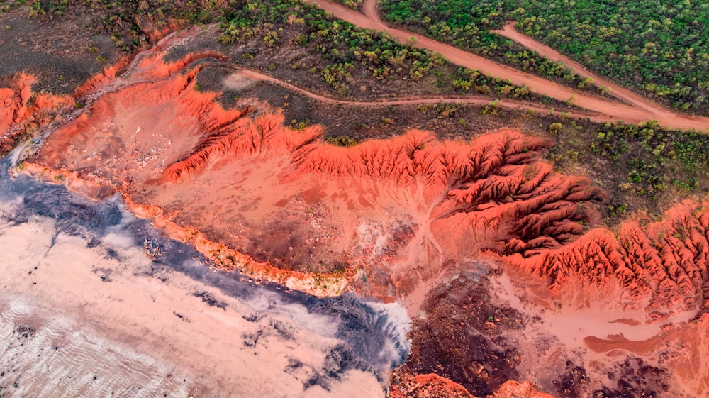 aerial photography of dirt road surrounded with green trees