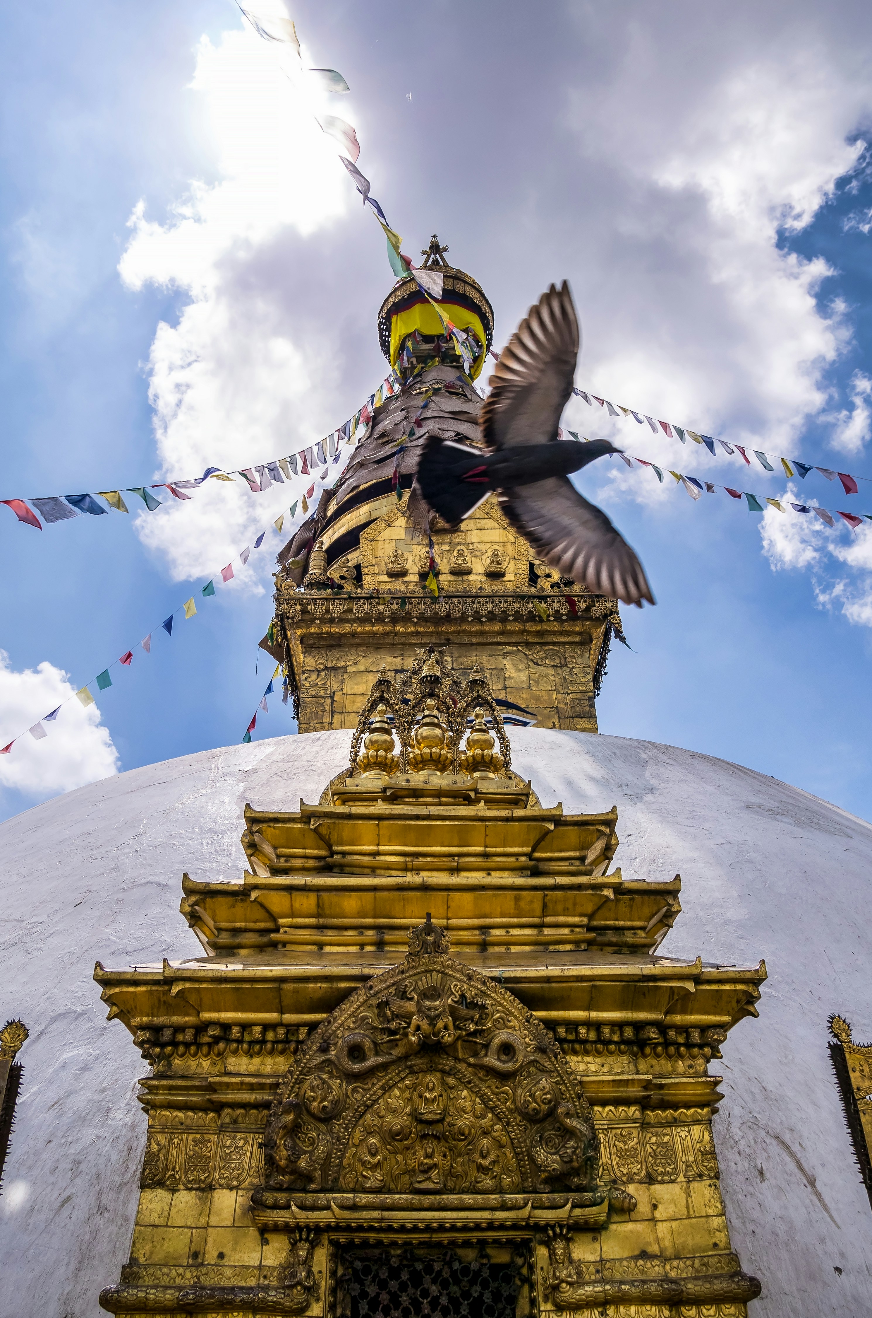 flying bird beside golden pagoda temple during daytime