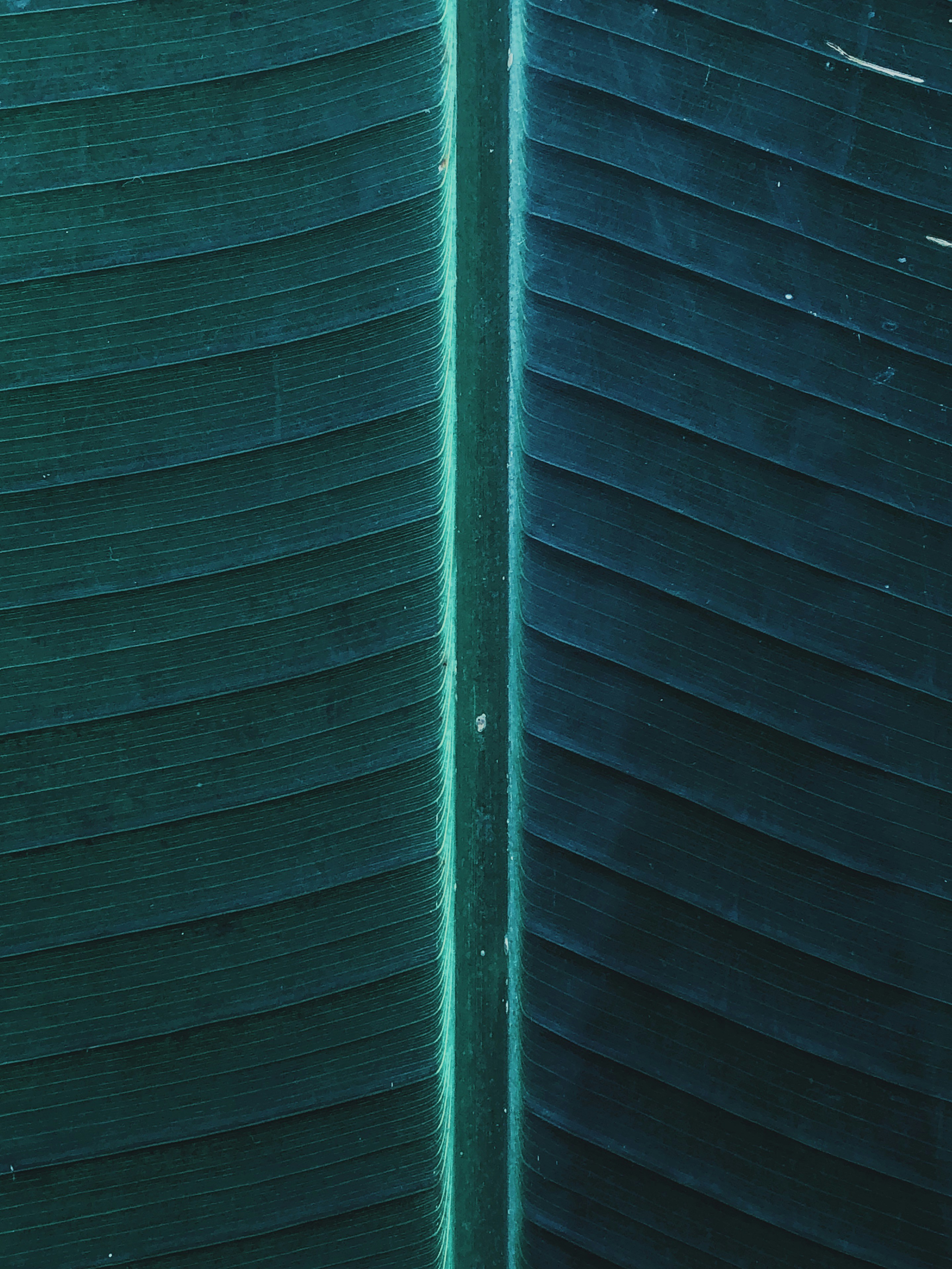 Photo by sur_le_misanthrope