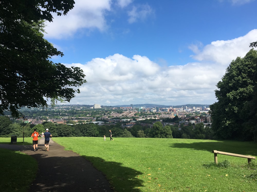 two person walking under green tree during daytime