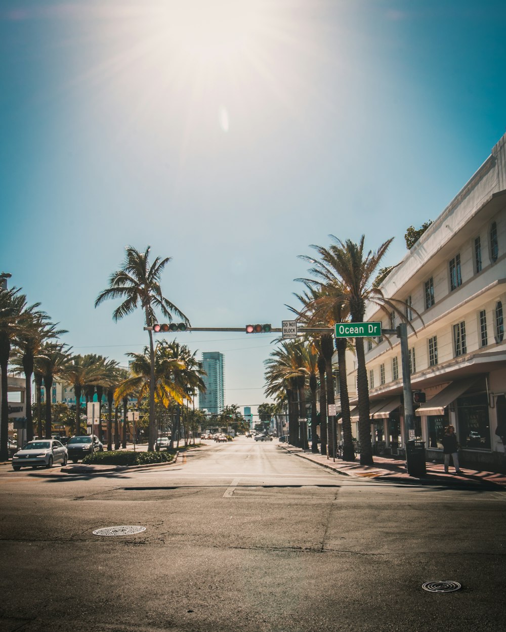 traffic light beside palm tree during daytime