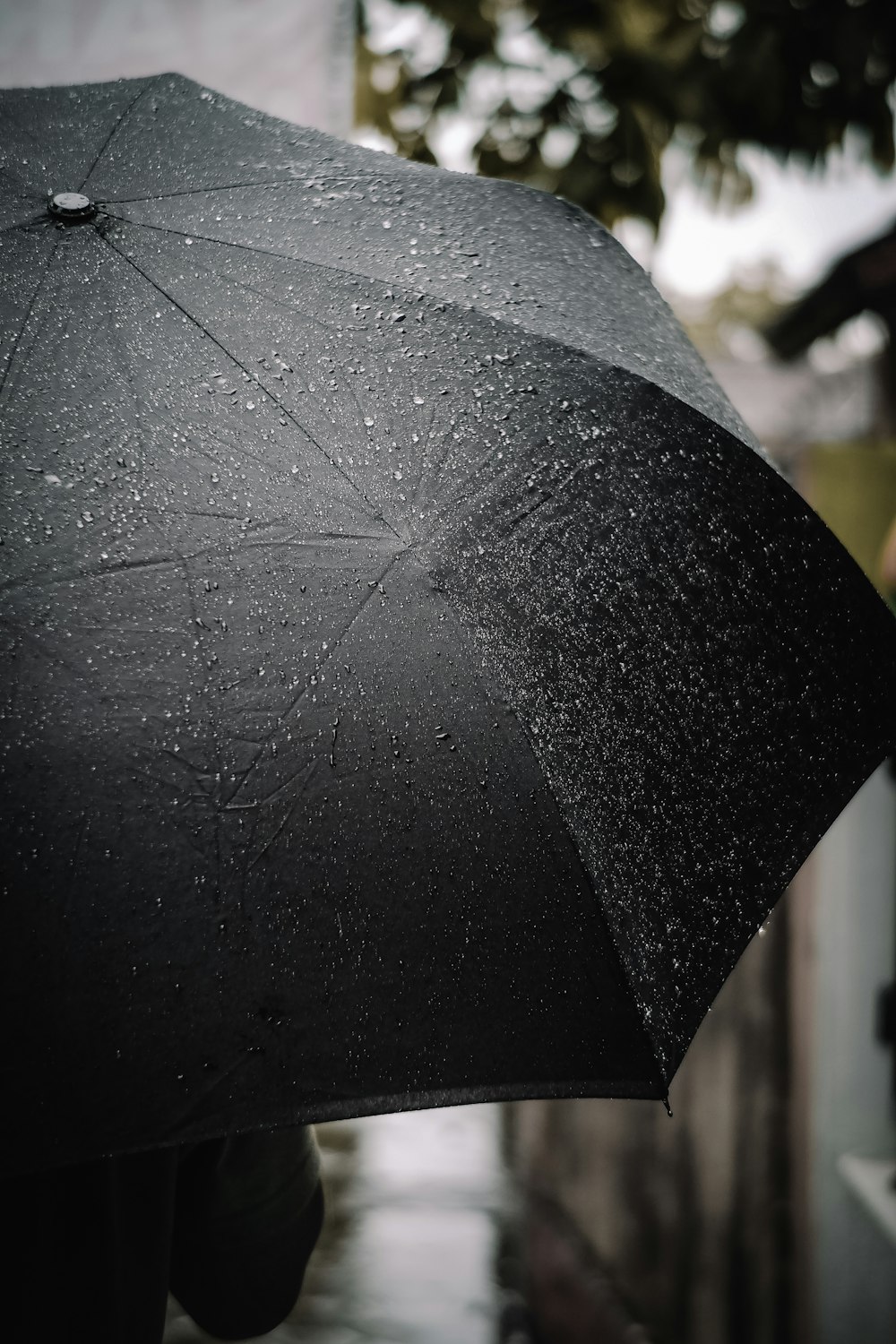 black umbrella during daytime