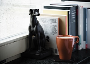 A sunny reading nook with a dog training book, a cup of tea, and a playful dog lying beside it