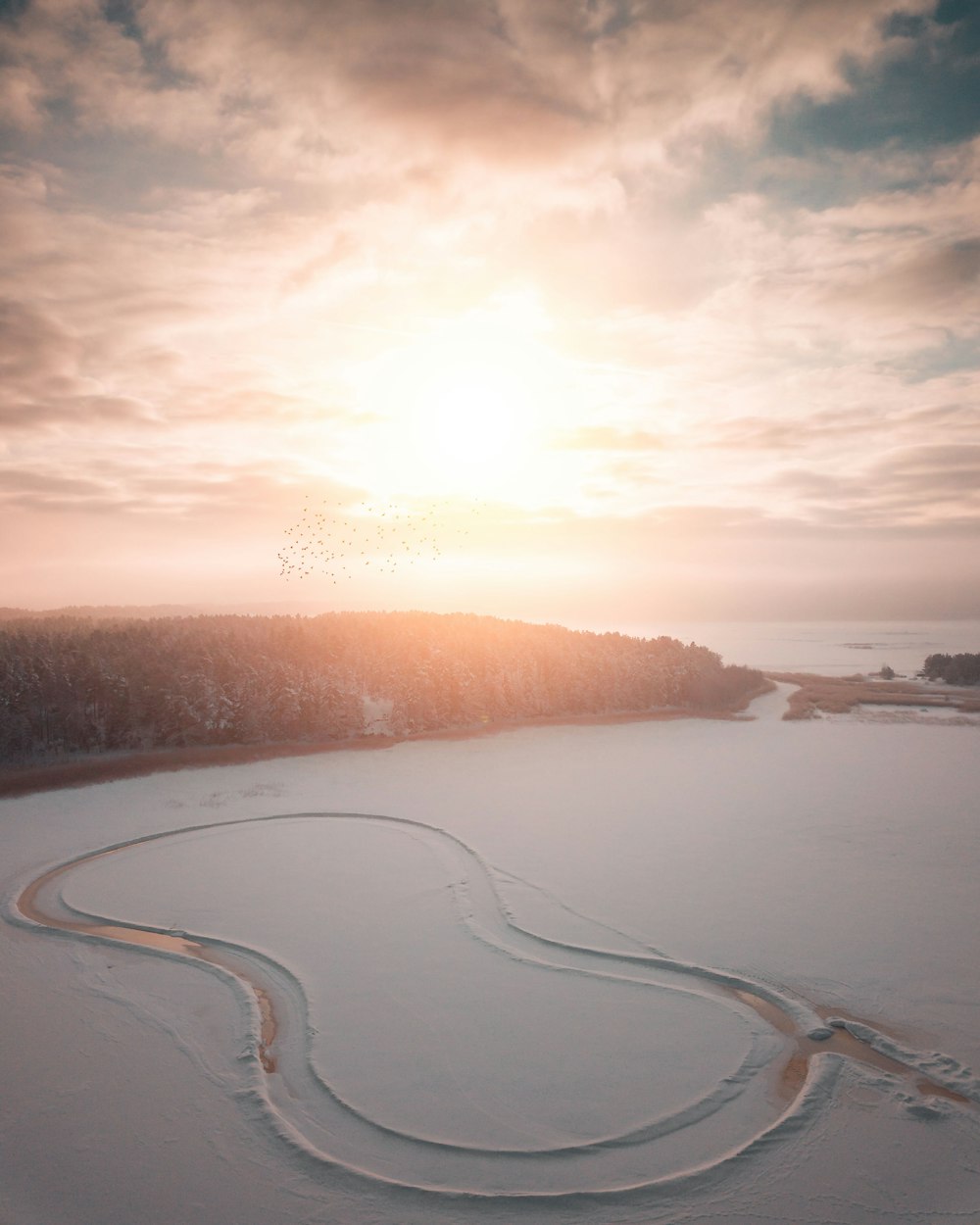 snow covered ground during golden hour