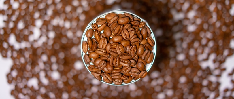 selective focus photography of coffee beans