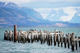gray sea wooden posts near snow covered mountains during daytime