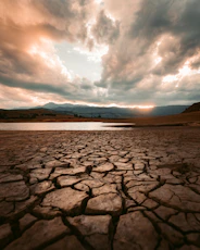 cracked brown soil
