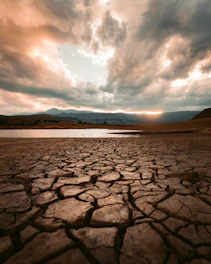 cracked brown soil