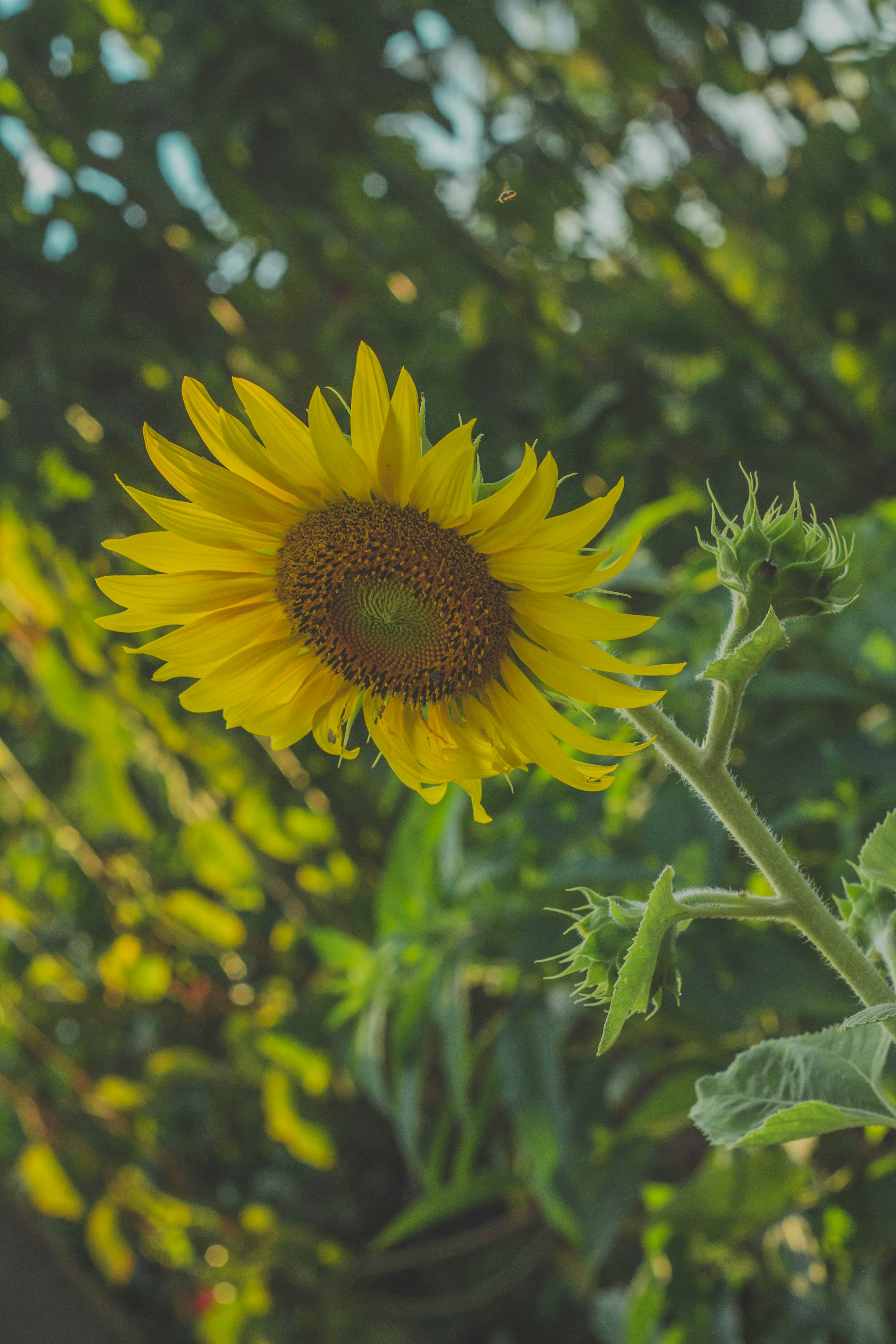 Photo by jonatas_daniel