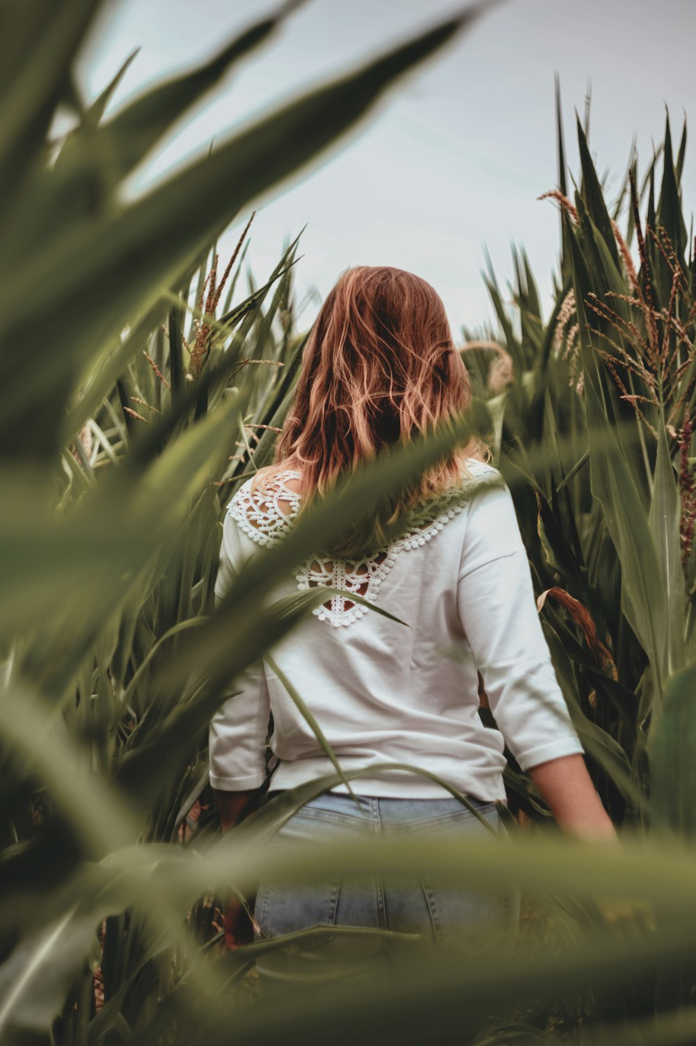 woman in plant field