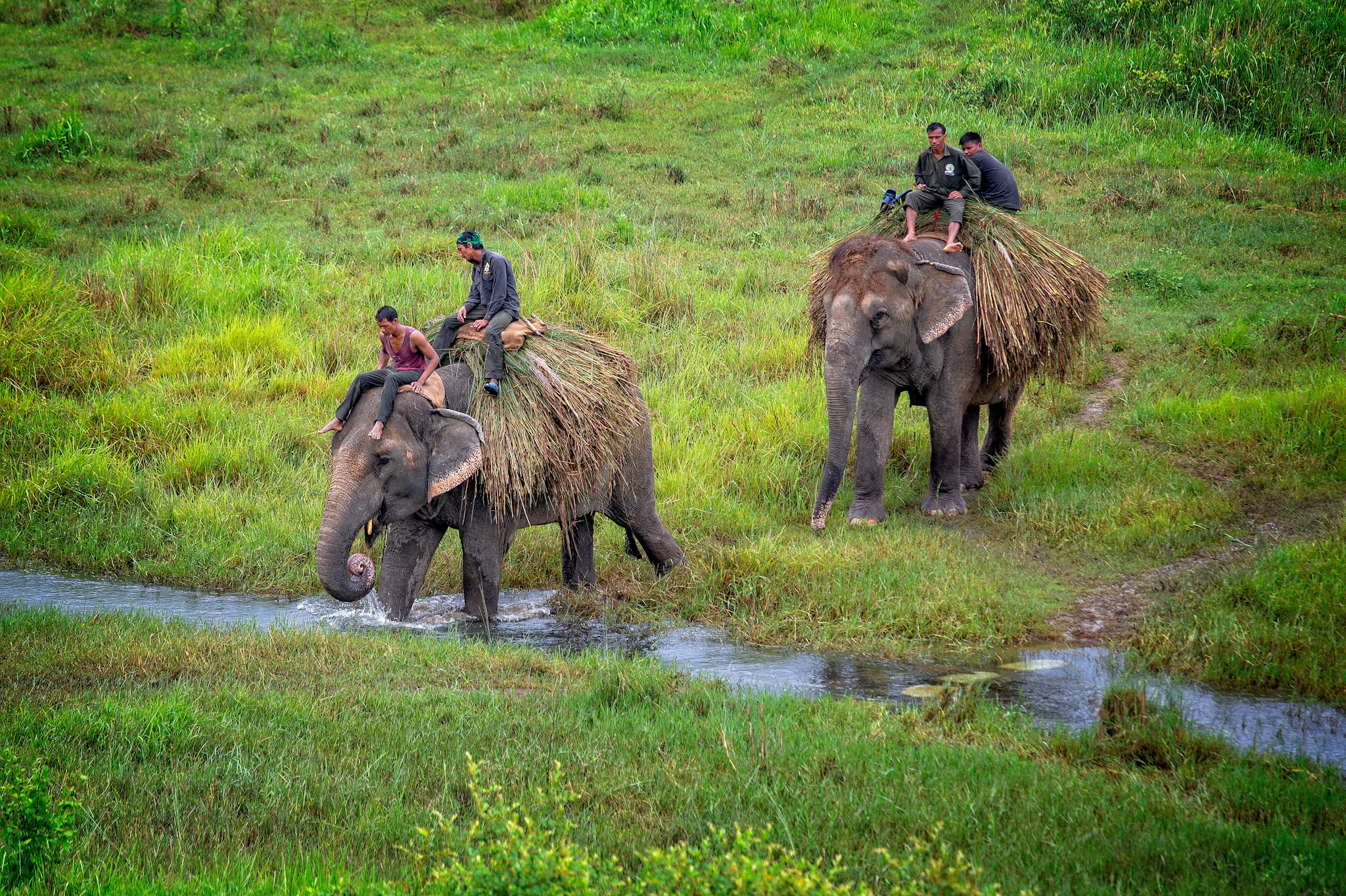 Chitwan