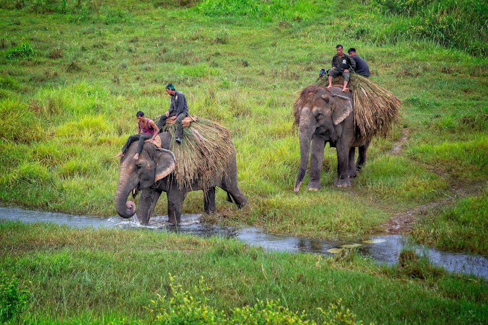 two person riding elephant